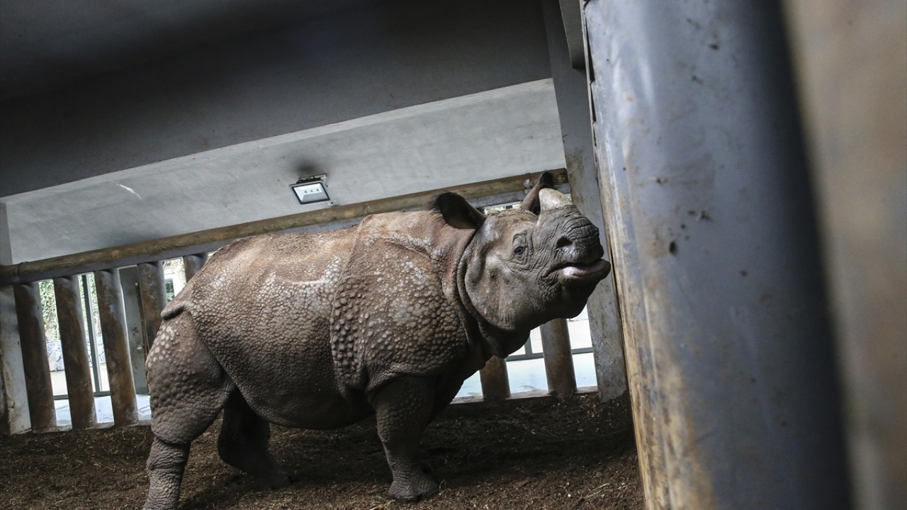 Darıca Hayvanat Bahçesi