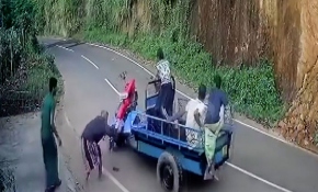 Sri Lanka'da çapa makinesi ile kaza