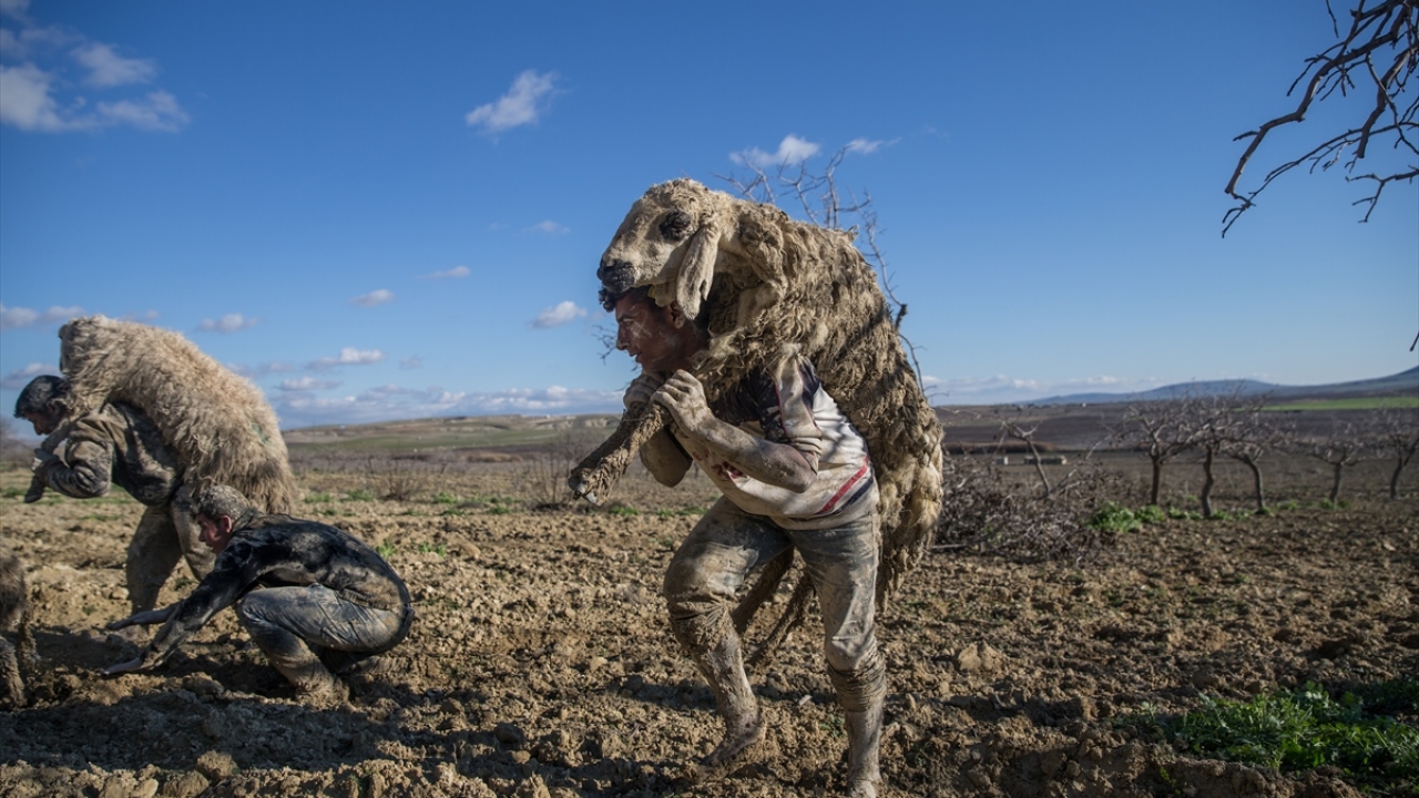 "Hayvanların telef olmaması için var gücümüzle çalıştık."