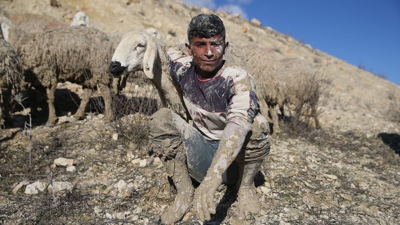 Tek geçim kaynaklarının koyunları olduğunu vurgulayan Çelik, emeği geçenlere teşekkür etti.