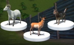 Trump'ın duvarı doğayı ve vahşi yaşamı da tehdit ediyor