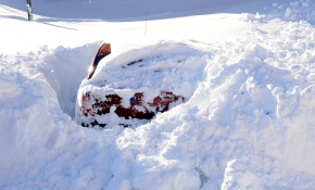 Bitlis'te ev ve araçlar kara gömüldü