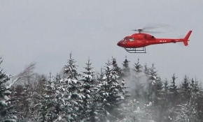 Almanya'da ağaçlar helikopter rüzgarıyla temizlendi