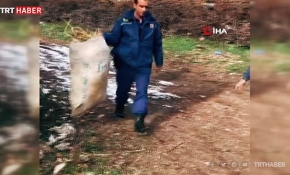 Sırtında saman taşıyan yaşlı kadına jandarma yardım etti