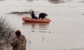Sel suları yükselince koyunlarıyla mahsur kaldı