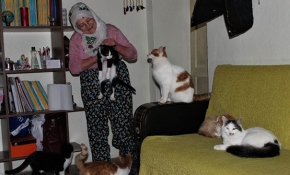 Nuriye Teyze üşümesinler diye 58 kediye evinde bakıyor