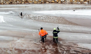 Donan Kızılırmak'ta mahsur kalan köpeği itfaiye kurtardı