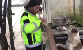 Manisa'da su altında kalan bölgelerdeki hayvanlar kurtarıldı