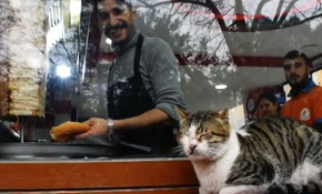 Çorlu'daki dönercinin maskotu "Ercüment"