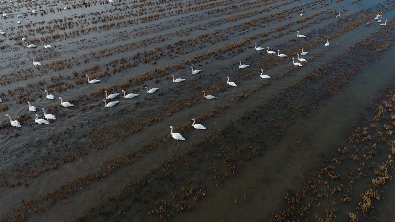 Biyoçeşitlilik Çalışmaları Derneği (BİÇED) Başkanı Özmen Yeltekin de, 2005 yılından bu yana milli park statüsündeki Gala Gölü`nün 6 bin hektarlık önemli bir geçiş alanlarından olduğunu belirtti.