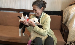 Fatma Şeren'in tek amacı sahiplendiği sakat kuzuyu yürütmek